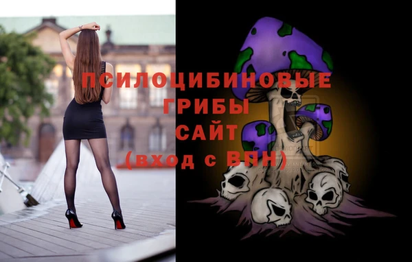 стаф Михайловка