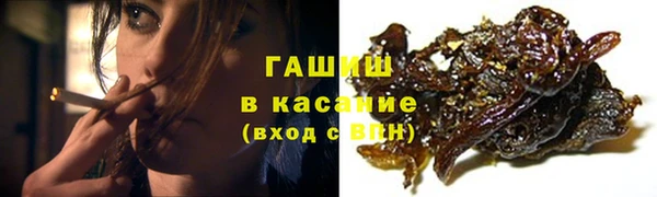 индика Михайлов