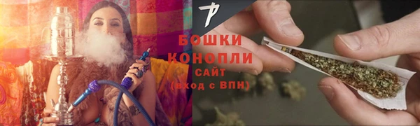 индика Михайлов