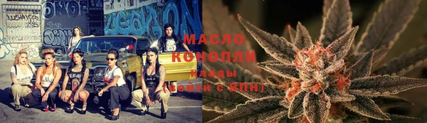 индика Михайлов