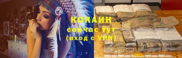 индика Михайлов
