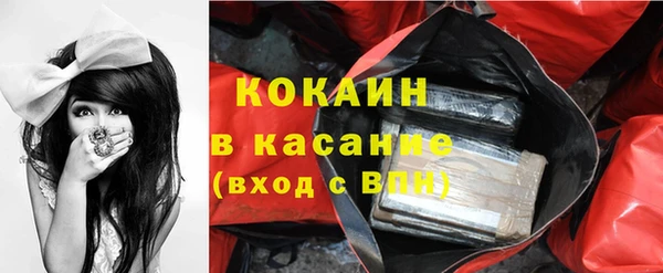 индика Михайлов