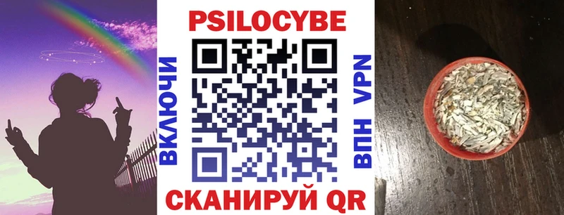 ссылка на мегу ссылка  Морозовск  дарк нет состав  Галлюциногенные грибы Cubensis 