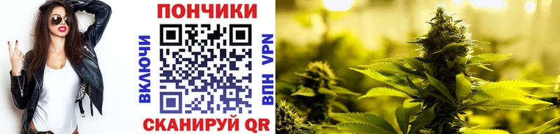 Марихуана план  как найти   Морозовск 